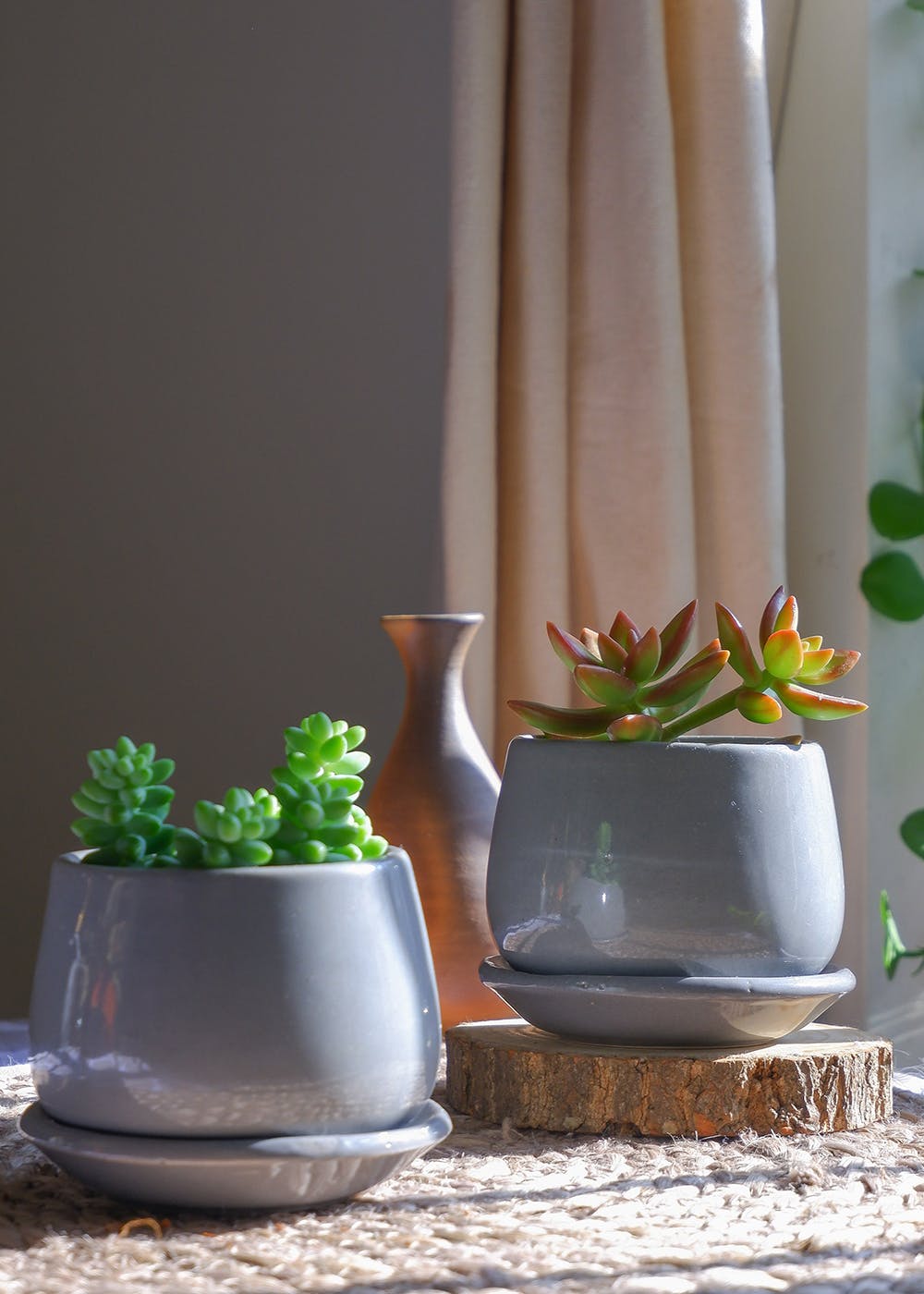 Grey Succulent Planter Set