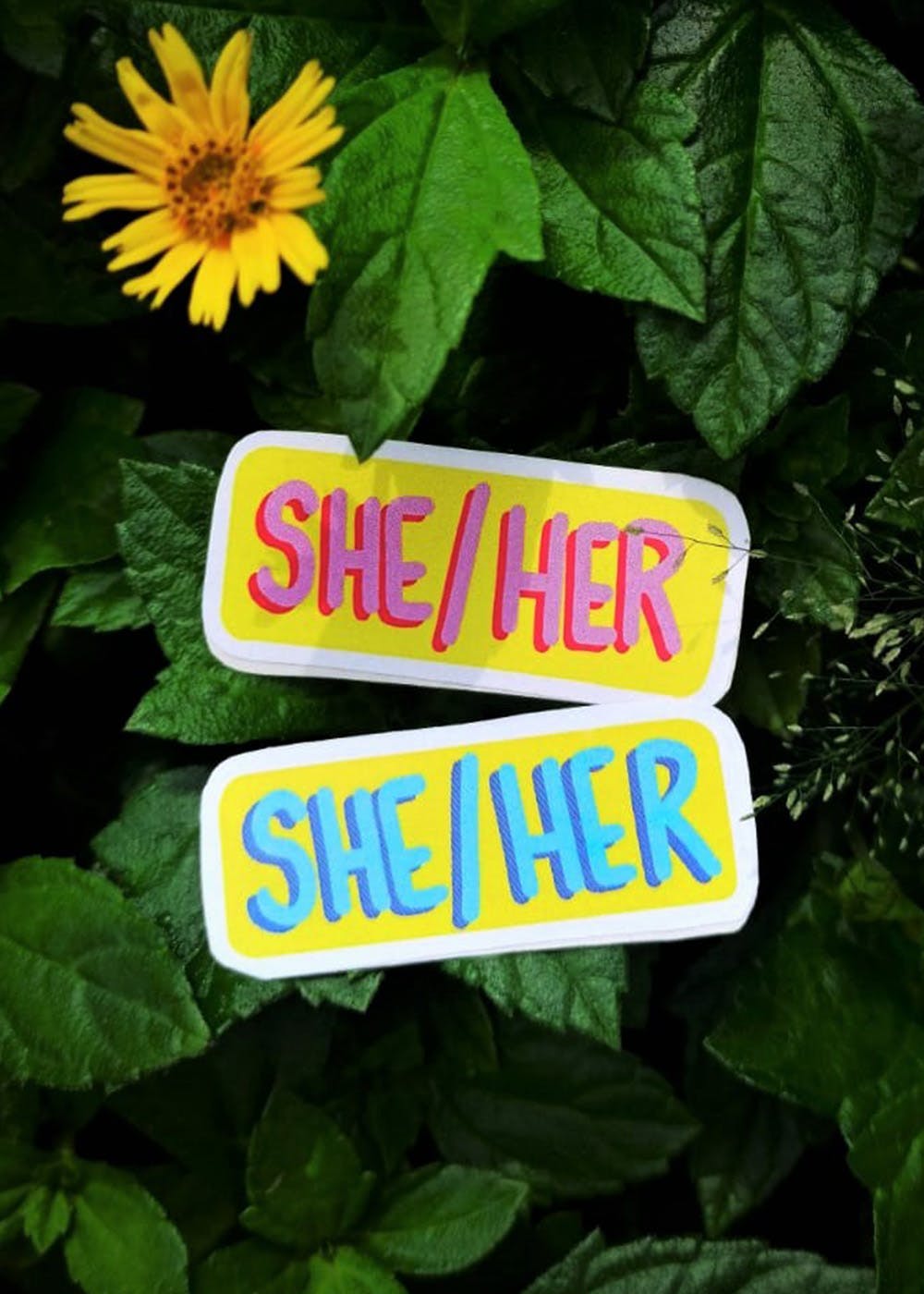 Get She Her Pronoun Sticker At ₹ 36 Lbb Shop 3900