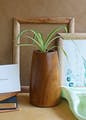 Plant,Flowerpot,Houseplant,Wood,Rectangle,Terrestrial plant,Hardwood,Flooring,Grass,Wood stain