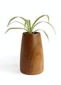 Plant,Flowerpot,Houseplant,Terrestrial plant,Flowering plant,Wood,Art,Rectangle,Vase,Herb