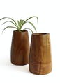 Plant,Flowerpot,Terrestrial plant,Wood,Rectangle,Houseplant,Vase,Font,Plywood,Hardwood