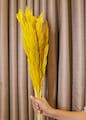 Wood,Dress,Orange,Twig,Plant,Red,Terrestrial plant,Tints and shades,Natural material,Flowering plant