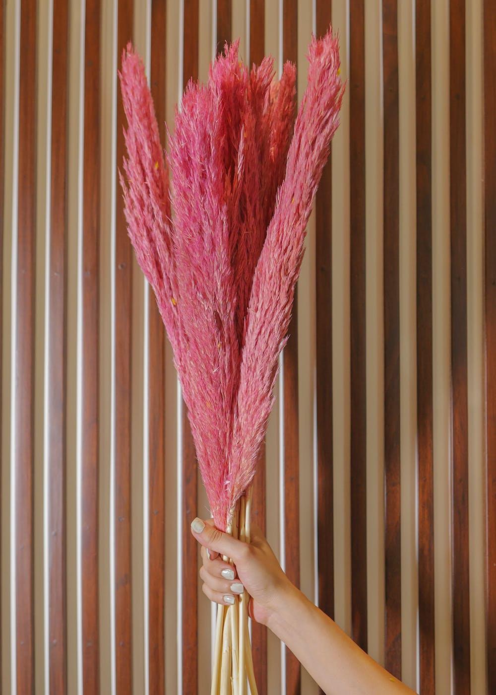 Hair,Plant,Dress,Human body,Textile,Petal,Wood,Pink,Finger,Line
