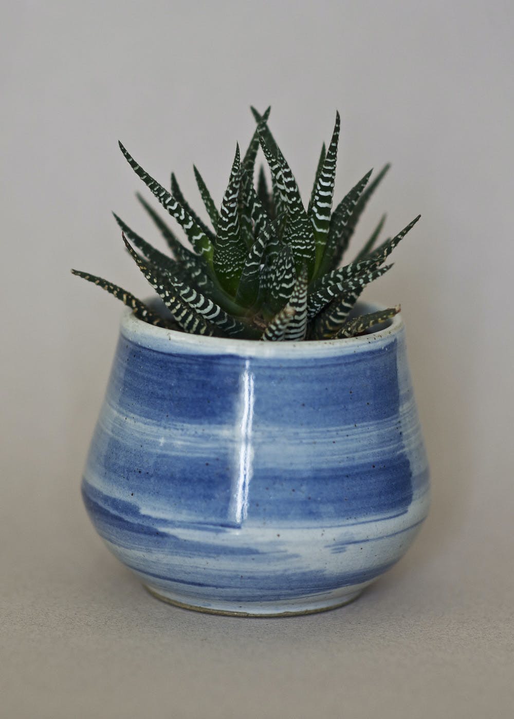 Blue,Flowerpot,Majorelle blue,Aqua,Botany,Terrestrial plant,Azure,Ceramic,Interior design,Electric blue