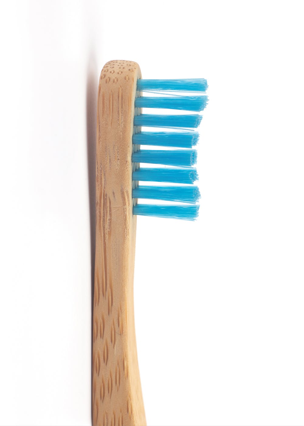 terra toothbrush