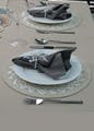 Dishware,Silver,Tableware,Grey,Serveware,Automotive design,Table,Watercraft,Plate,Font