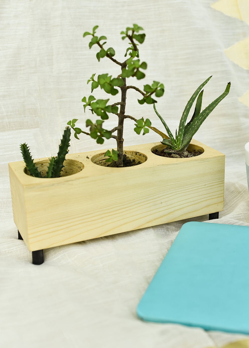 Get 3 in 1 Planter at ₹ 699 | LBB Shop