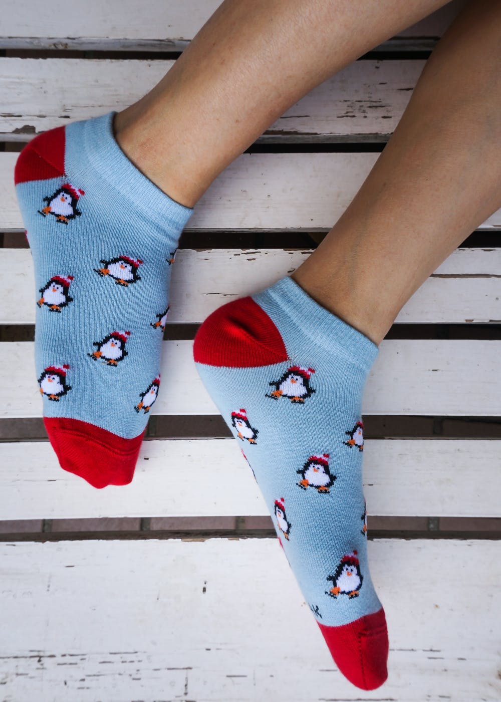 Penguin Snuggle Blue Low Cut Socks