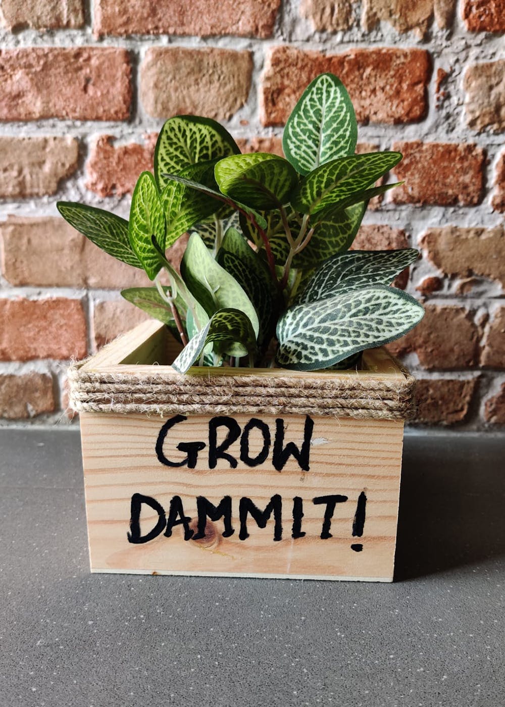 Wooden Square Planter: Grow Dammit 