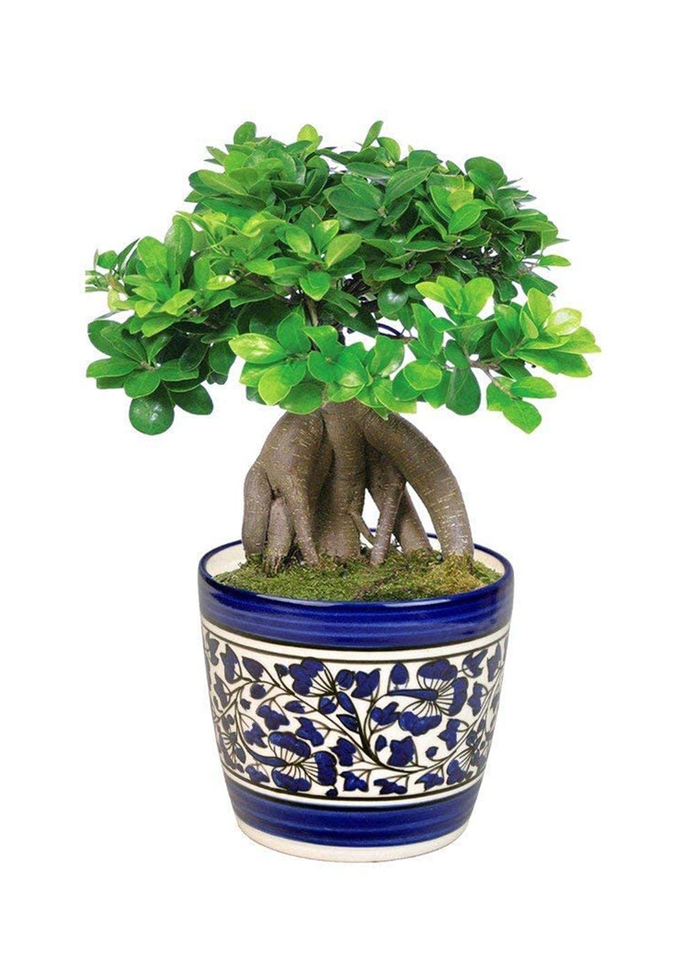 Get Handmade Ceramic Planter Bowl Pot in Handmade Blue Ceramic Pottery